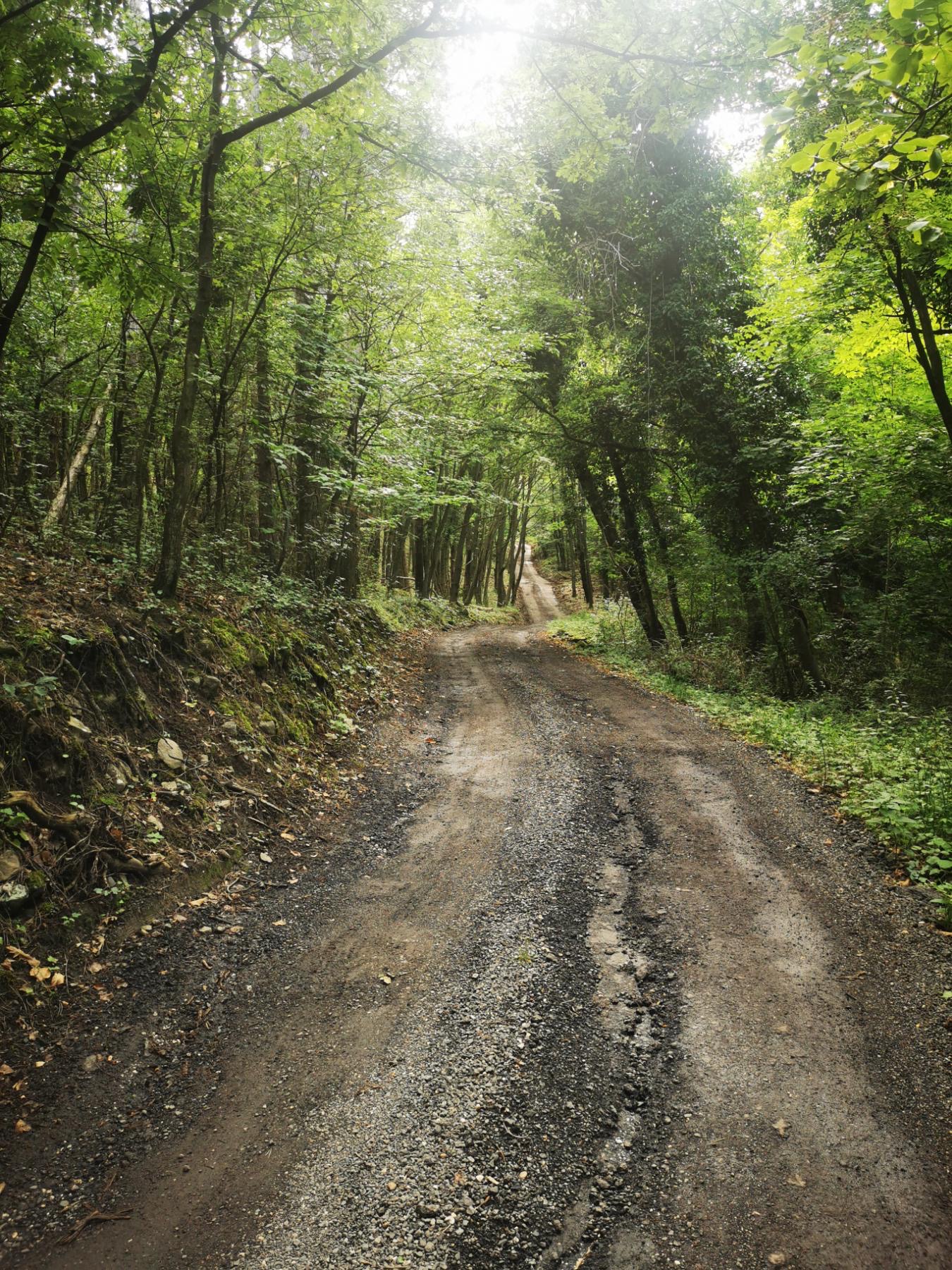 Bükki házikácska
